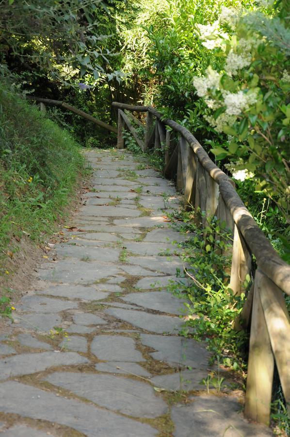 Hostal La Torre II Puente de Domingo Florez Ngoại thất bức ảnh